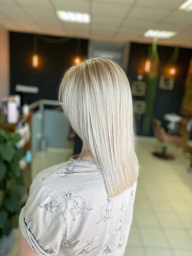 Studio Fryzur Matt Mateusz Koczor